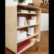 Flowerssori Bücherregal Cat 3 mit Rückwand im Einsatz 2 - Holzspielzeug Profi