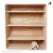 Flowerssori Bücherregal Cat 3 mit Rückwand - Holzspielzeug Profi