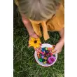 Grapat Mandala Rainbow Mushrooms Regenbogen Pilze - Holzspielzeug Profi