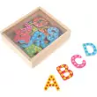 Bunte Magnetbuchstaben aus Holz - Holzspielzeug Profi