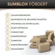 SumBlox Holzbausteine: fördert - Holzspielzeug Profi