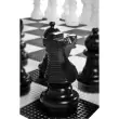 Übergames Garten Schachfiguren: Detail - Holzspielzeug Profi