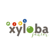 Xyloba Junior Mini - Holzspielzeug Profi